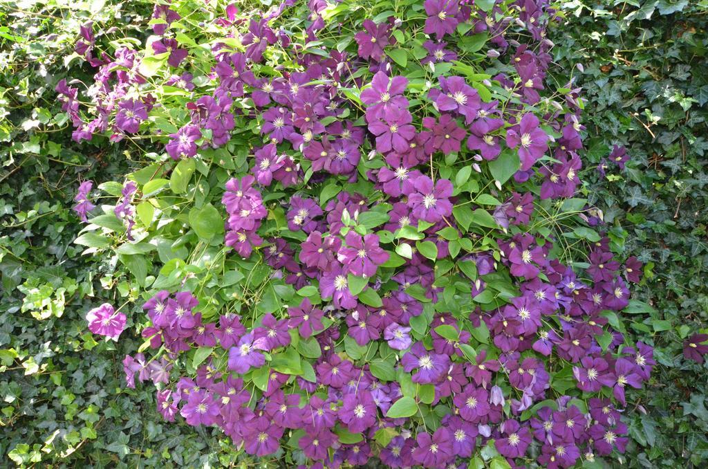 Bloemenhoeve Birdaard Exterior foto